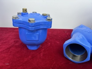 Swing Type Check Valve